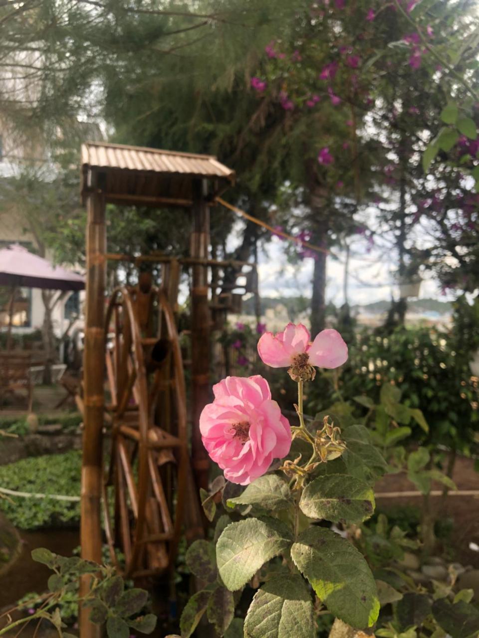 Da Lat Lotus Villa Boutique エクステリア 写真